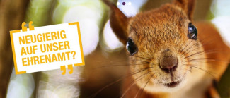 telefonseelsorge_ehrenamt